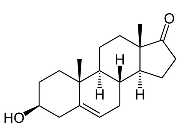 DHEA (prasteronas)